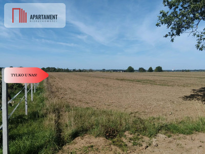 Działka rolna 109 ha Głoska gm Miękinia - Głoska  -
Dolnośląskie Zdjęcie nr 4