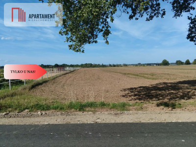 Działka rolna 109 ha Głoska gm Miękinia - Głoska  -
Dolnośląskie Zdjęcie nr 5