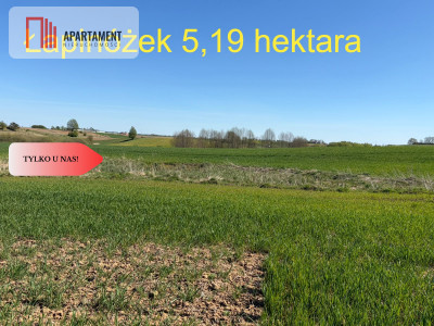 Działka rolna Łapinóżek 519 hektara - Łapinóżek  -
Kujawsko-Pomorskie Zdjęcie nr 2