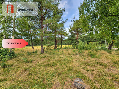 Kaszuby  działka pod dom 1105 m - Kłobuczyno  -
Pomorskie Zdjęcie nr 2