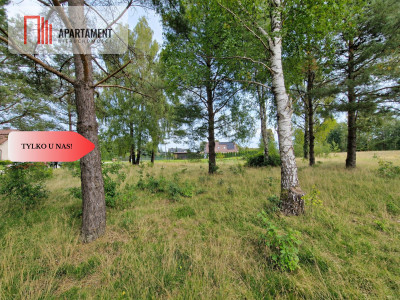 Kaszuby  działka pod dom 1105 m - Kłobuczyno  -
Pomorskie Zdjęcie nr 4