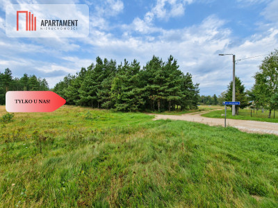 Kaszuby  działka pod dom 1105 m - Kłobuczyno  -
Pomorskie Zdjęcie nr 6