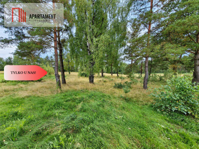 Kaszuby  działka pod dom 1105 m - Kłobuczyno  -
Pomorskie Zdjęcie nr 7