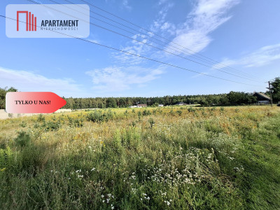 Działka Wałdowo Królewskie 1563m przy ścianie lasu - Wałdowo Królewskie  -
Kujawsko-Pomorskie Zdjęcie nr 9
