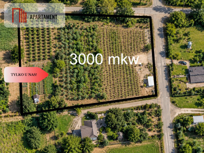 Działka pod zabudowę zagrodową - 2000 świerków - Kościelec  -
Kujawsko-Pomorskie Zdjęcie nr 10