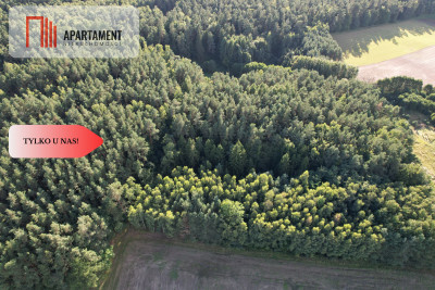 Siedlisko 1175 ha z prywatnym lasem - Wędkowy  -
Pomorskie Zdjęcie nr 10