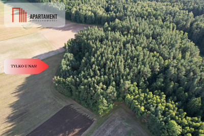 Siedlisko 1175 ha z prywatnym lasem - Wędkowy  -
Pomorskie Zdjęcie nr 11