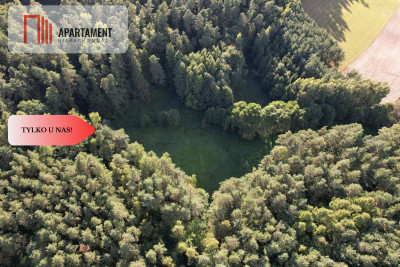 Siedlisko 1175 ha z prywatnym lasem - Wędkowy  -
Pomorskie Zdjęcie nr 12