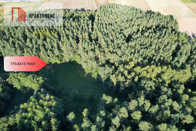 Siedlisko 1175 ha z prywatnym lasem - Wędkowy  -
Pomorskie Zdjęcie nr 13