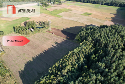 Siedlisko 1175 ha z prywatnym lasem - Wędkowy  - Pomorskie