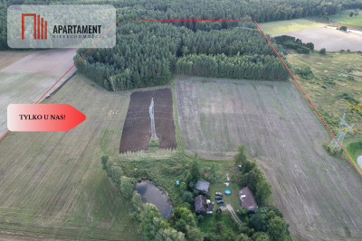 Siedlisko 1175 ha z prywatnym lasem - Wędkowy  -
Pomorskie Zdjęcie nr 2