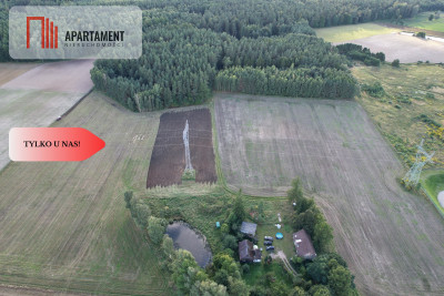 Siedlisko 1175 ha z prywatnym lasem - Wędkowy  -
Pomorskie Zdjęcie nr 3