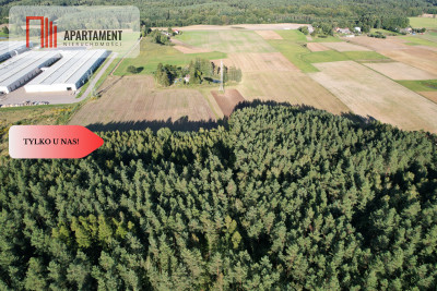 Siedlisko 1175 ha z prywatnym lasem - Wędkowy  -
Pomorskie Zdjęcie nr 6