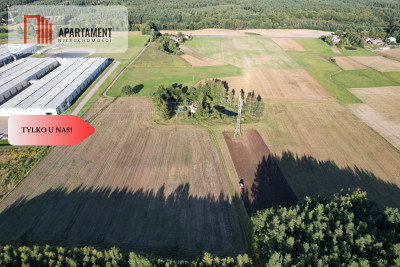 Siedlisko 1175 ha z prywatnym lasem - Wędkowy  -
Pomorskie Zdjęcie nr 7