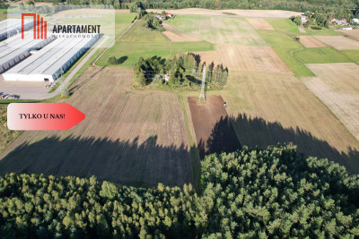 Siedlisko 1175 ha z prywatnym lasem - Wędkowy  -
Pomorskie Zdjęcie nr 8