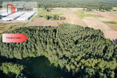 Siedlisko 1175 ha z prywatnym lasem - Wędkowy  -
Pomorskie Zdjęcie nr 9
