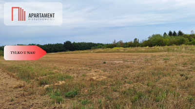 Duża działka 3691 m2 Legnica - Legnica  -
Dolnośląskie Zdjęcie nr 4