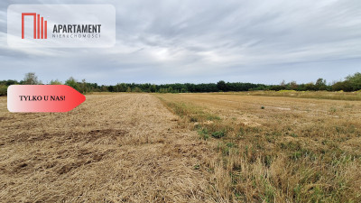 Duża działka 3691 m2 Legnica - Legnica  -
Dolnośląskie Zdjęcie nr 5