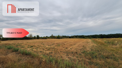 Duża działka 3691 m2 Legnica - Legnica  -
Dolnośląskie Zdjęcie nr 6