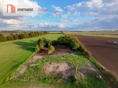 Uzbrojona działka w spokojnej okolicy - Pawłowo  -
Pomorskie Zdjęcie nr 2