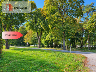 Łabiszyn  1740 m  WZ  Wszystkie media w drodze - Łabiszyn  -
Kujawsko-Pomorskie Zdjęcie nr 6