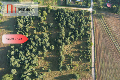 Tylko u Nas Duże działki z warunkami zabudowy - Brzezie  -
Pomorskie Zdjęcie nr 14
