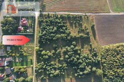 Tylko u Nas Duże działki z warunkami zabudowy - Brzezie  -
Pomorskie Zdjęcie nr 2
