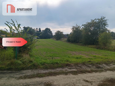 Duża działka budowlanampzpBrzeg Dolny - Brzeg Dolny  -
Dolnośląskie Zdjęcie nr 2