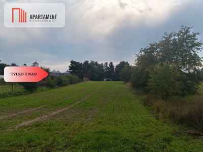Duża działka budowlanampzpBrzeg Dolny - Brzeg Dolny  -
Dolnośląskie Zdjęcie nr 3