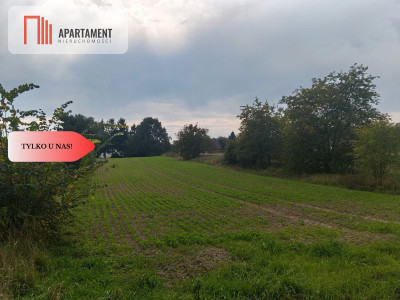 Duża działka budowlanampzpBrzeg Dolny - Brzeg Dolny  -
Dolnośląskie Zdjęcie nr 4