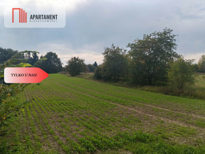 Duża działka budowlanampzpBrzeg Dolny - Brzeg Dolny  -
Dolnośląskie Zdjęcie nr 5