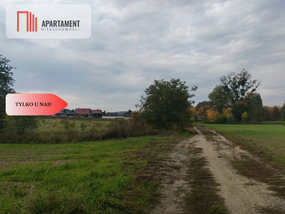 Duża działka budowlanampzpBrzeg Dolny - Brzeg Dolny  -
Dolnośląskie Zdjęcie nr 6