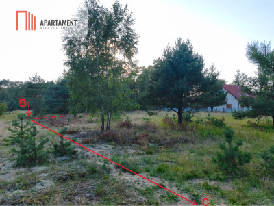 MPZP na działce porośniętej sosnami - Gutowiec  -
Pomorskie Zdjęcie nr 3