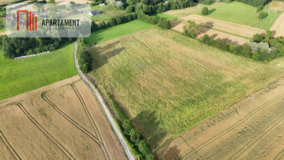 Działki  4 km od plaży Będzino w otoczeniu lasów - Będzino  -
Zachodniopomorskie Zdjęcie nr 5