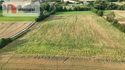 Działki  4 km od plaży Będzino w otoczeniu lasów - Będzino  -
Zachodniopomorskie Zdjęcie nr 7