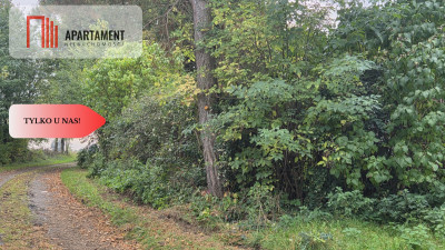 117ha klimatu i potencjału z własnym lasem - Słowienkowo  -
Zachodniopomorskie Zdjęcie nr 11
