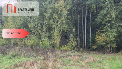 117ha klimatu i potencjału z własnym lasem - Słowienkowo  -
Zachodniopomorskie Zdjęcie nr 12