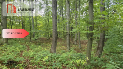 117ha klimatu i potencjału z własnym lasem - Słowienkowo  - Zachodniopomorskie