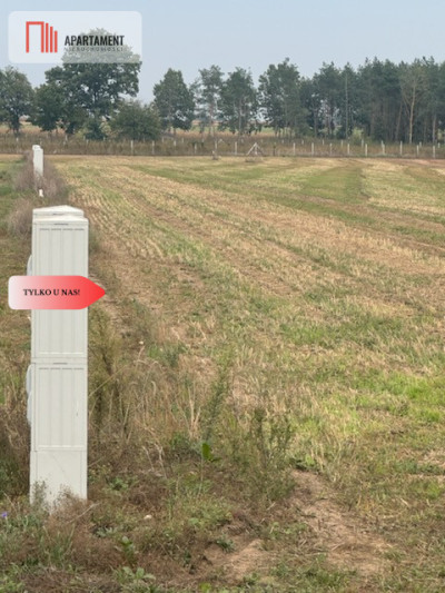 Z miasta na wieś Idealne miejsce do zamieszkania - powiat obornicki  -
Wielkopolskie Zdjęcie nr 10