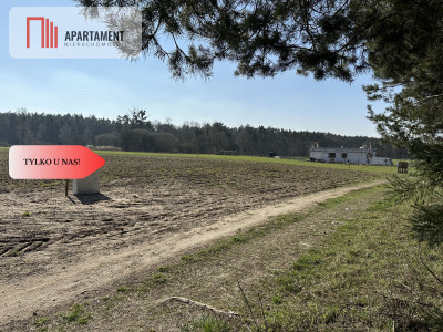 Z miasta na wieś Idealne miejsce do zamieszkania - powiat obornicki  -
Wielkopolskie Zdjęcie nr 4