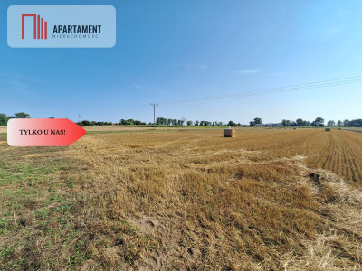 Z miasta na wieś Idealne miejsce do zamieszkania - powiat obornicki  -
Wielkopolskie Zdjęcie nr 7