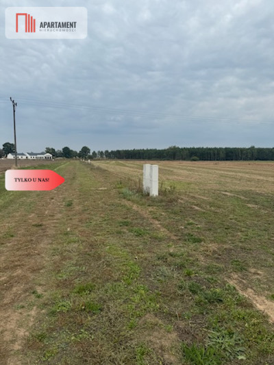Z miasta na wieś Idealne miejsce do zamieszkania - powiat obornicki  -
Wielkopolskie Zdjęcie nr 8