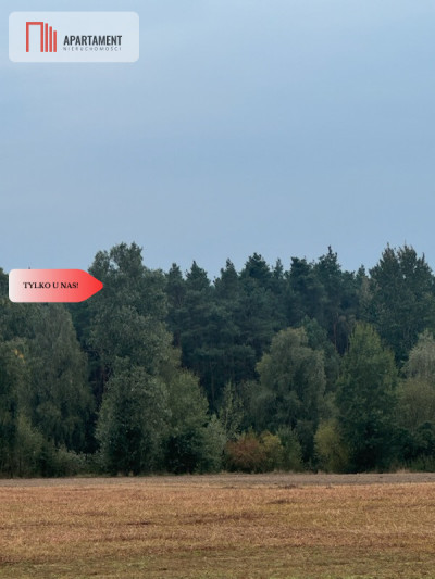 Z miasta na wieś Idealne miejsce do zamieszkania - powiat obornicki  -
Wielkopolskie Zdjęcie nr 9