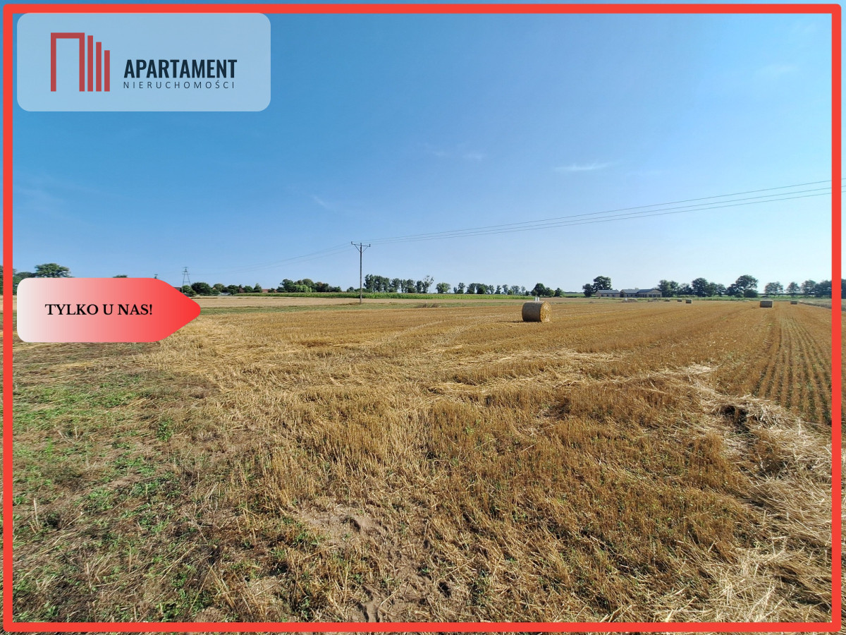 Kompleks uzbrojonych działek- INWESTYCJA - powiat obornicki  -
Wielkopolskie Zdjęcie nr 1