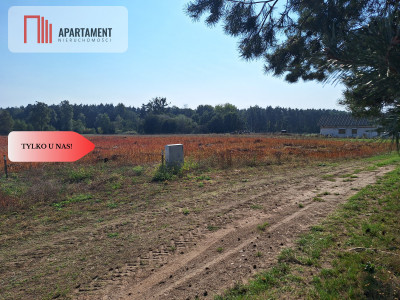 Kompleks uzbrojonych działek- INWESTYCJA - powiat obornicki  -
Wielkopolskie Zdjęcie nr 8