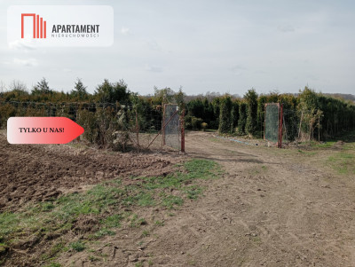 Duża działka 173 haszkółka drzew iglastych - powiat trzebnicki  -
Dolnośląskie Zdjęcie nr 10