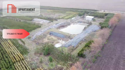Duża działka 173 haszkółka drzew iglastych - powiat trzebnicki  -
Dolnośląskie Zdjęcie nr 8