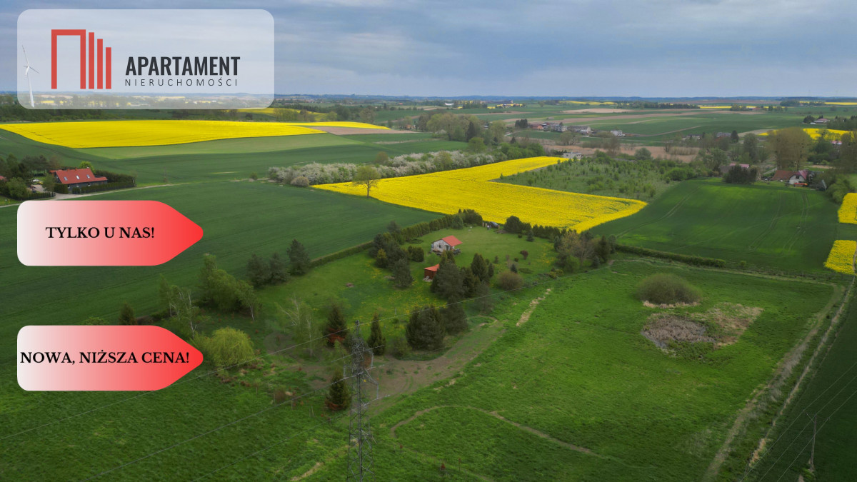działka z warunkami zabudowy 14 ha - powiat sztumski  -
Pomorskie Zdjęcie nr 1