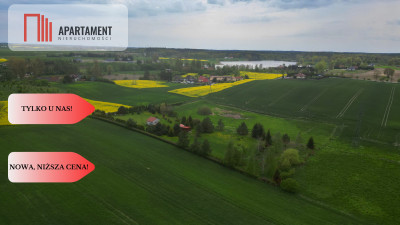 działka z warunkami zabudowy 14 ha - powiat sztumski  -
Pomorskie Zdjęcie nr 2