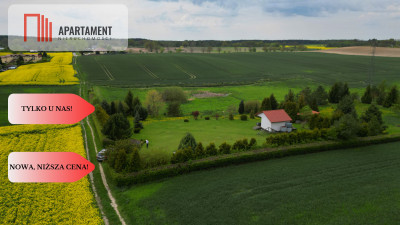 działka z warunkami zabudowy 14 ha - powiat sztumski  -
Pomorskie Zdjęcie nr 3